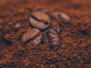 ¿Cómo aprovechar el bagazo y residuos de café?